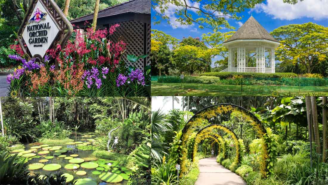 Singapur Botanik Bahçeleri